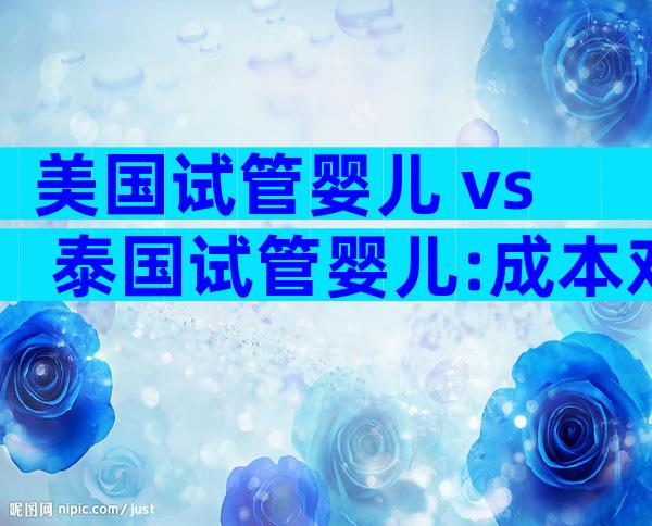 美国试管婴儿 vs 泰国试管婴儿:成本对比